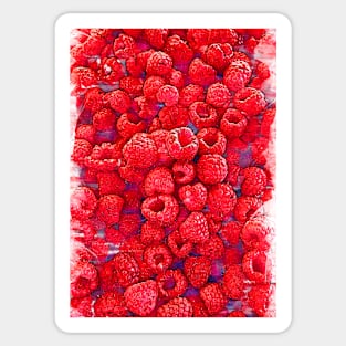 Fresh Bright Red Raspberries - For Fruit Lovers Sticker